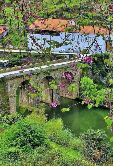 Pinhao House Daire Dış mekan fotoğraf